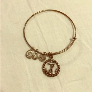 Alex and Ani Anchor Bracelet